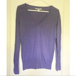 Purple V Neck sweater